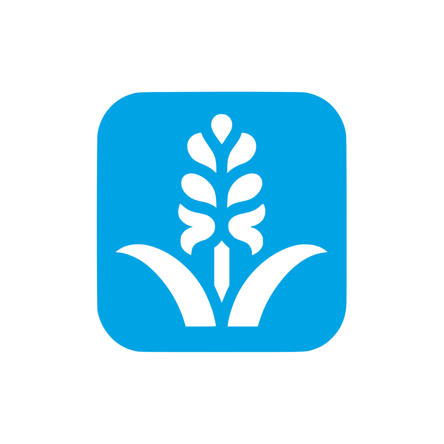 Hyacinth Flower Logo #00a3e4