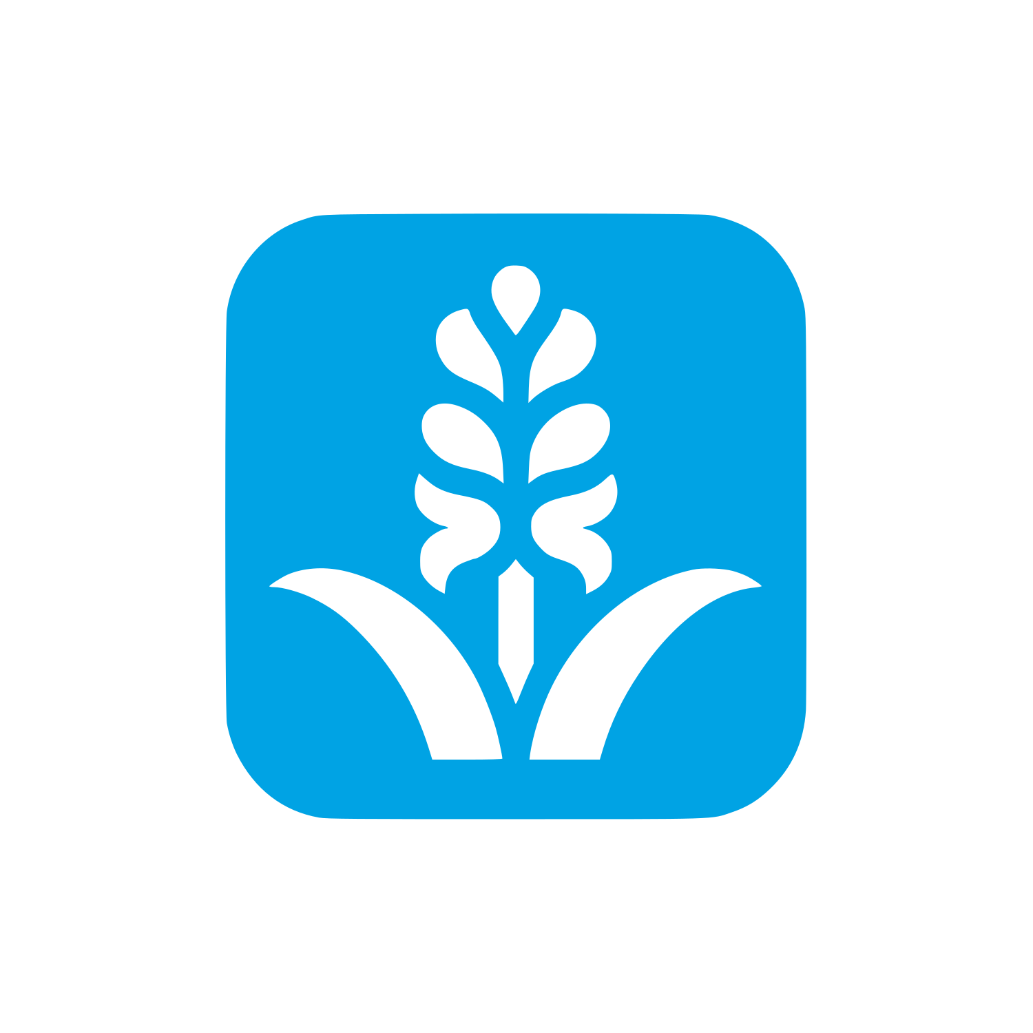 Hyacinth Flower Logo #00a3e4