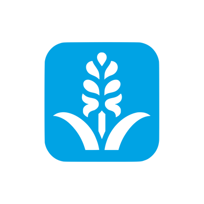 Hyacinth Flower Logo #00a3e4