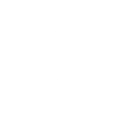 Starburst Logo Design #ffffff