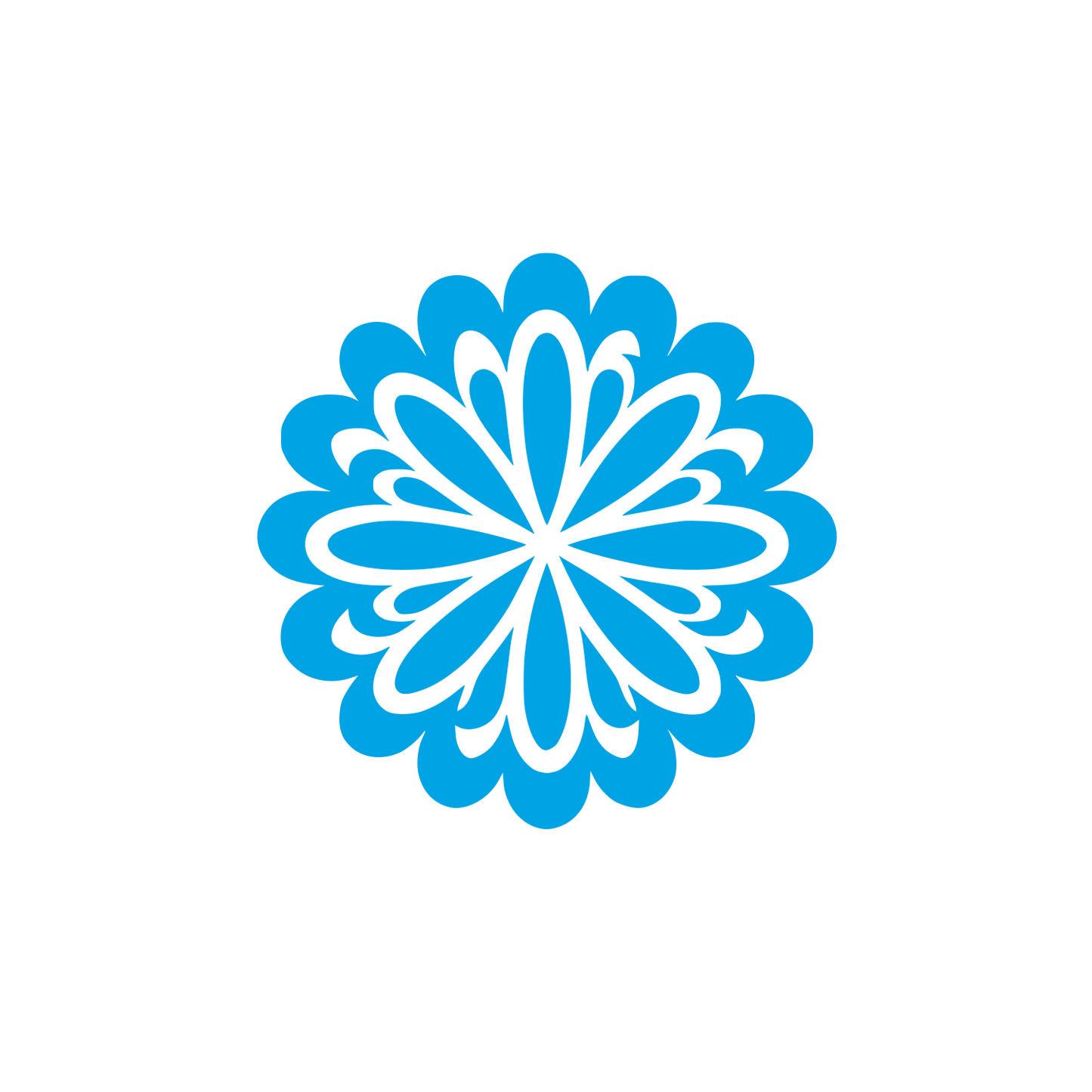 Chrysanthemum Flower Logo #00a3e4