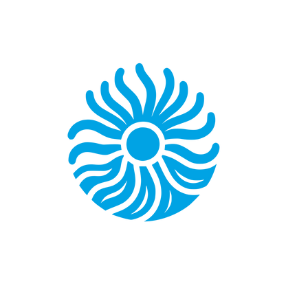 Bold Sun Logo #00a3e4