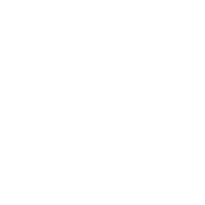 Bold Sun Logo #ffffff