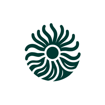 Bold Sun Logo #003932