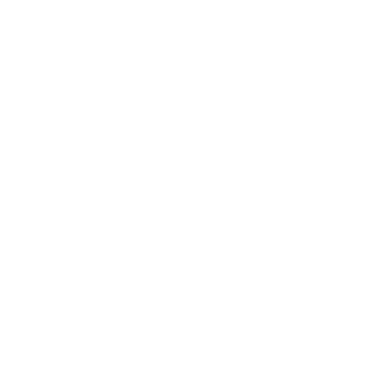 Bold Sun Logo #ffffff