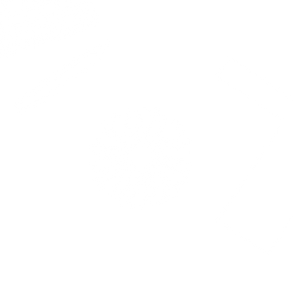 Bold Sun Logo #ffffff