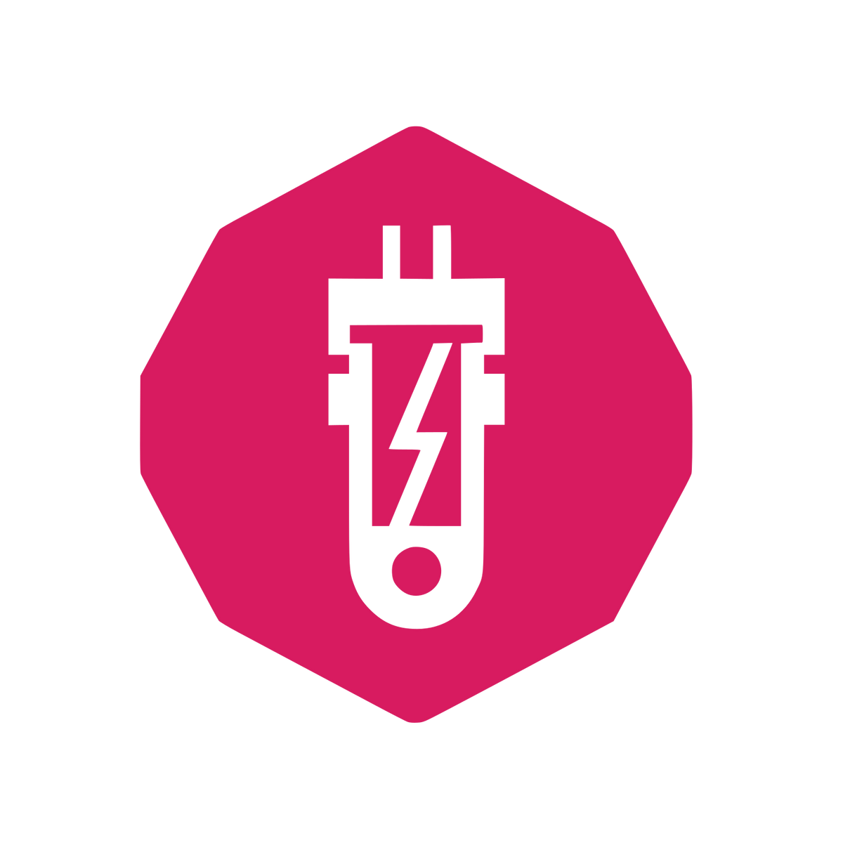 Lightning Bolt Octagon Logo  #D81B60