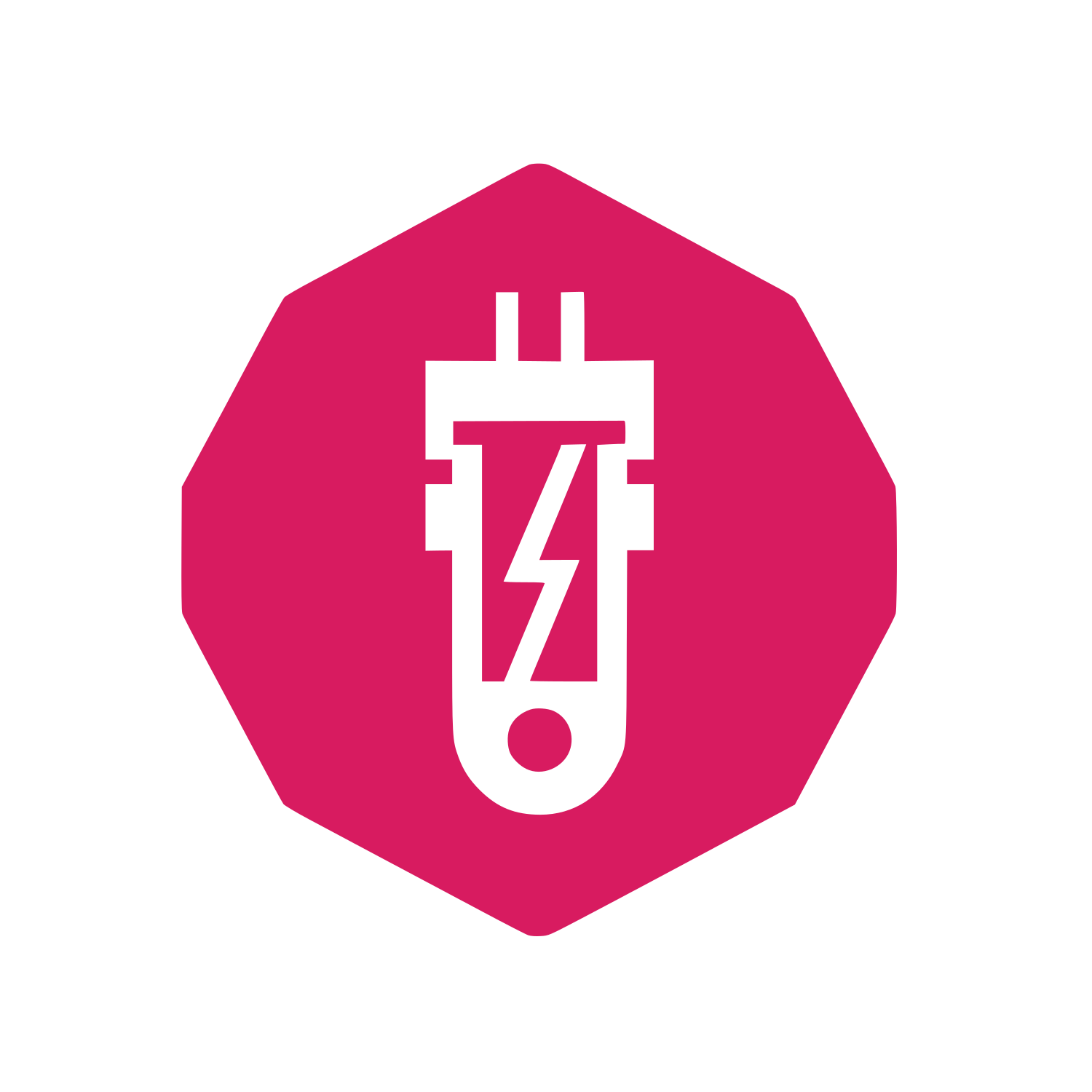 Lightning Bolt Octagon Logo  #D81B60