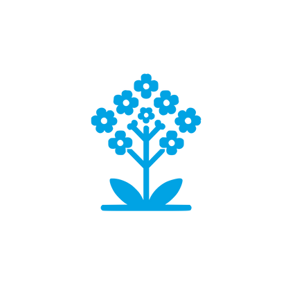 Flower Tree Logo #00a3e4