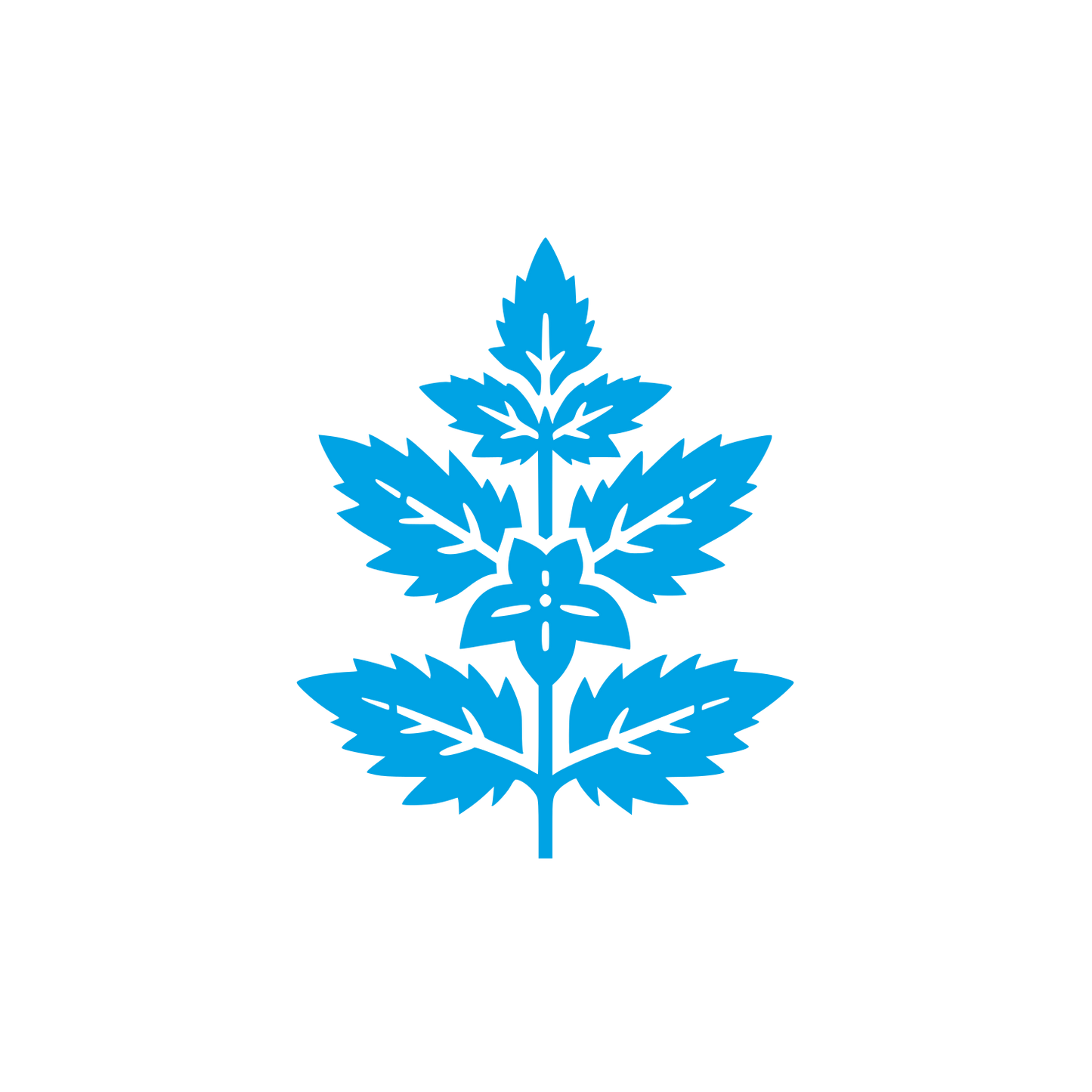 Herbal Company Logo #00a3e4