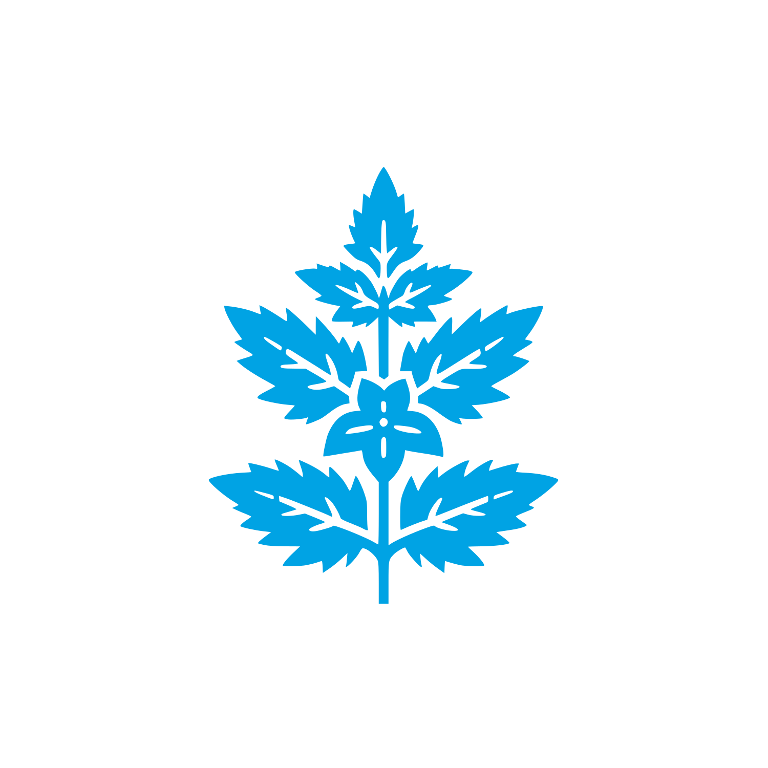Herbal Company Logo #00a3e4