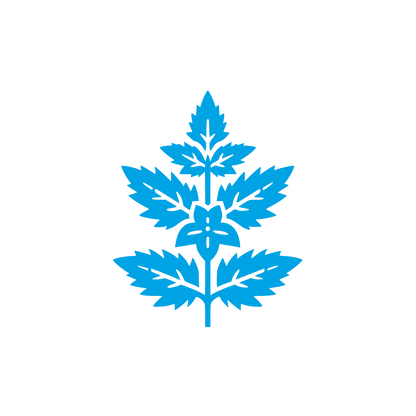 Herbal Company Logo #00a3e4