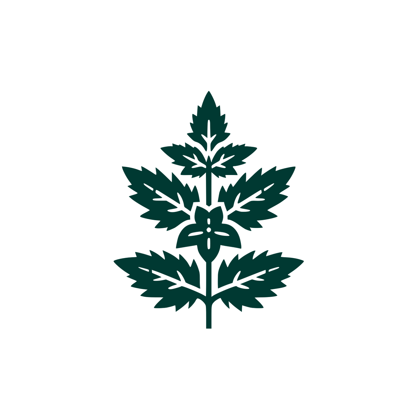 Herbal Company Logo #003932