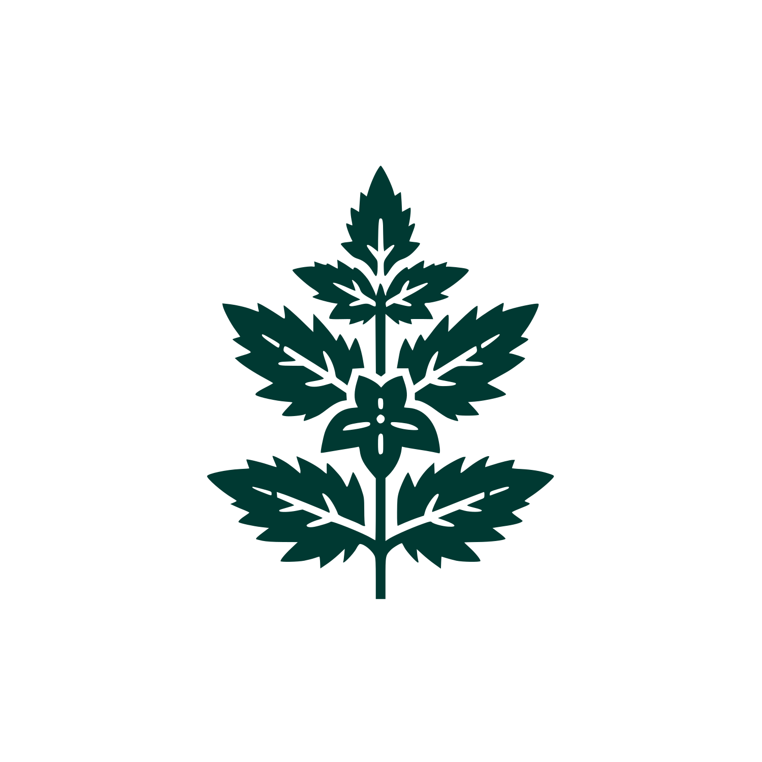 Herbal Company Logo #003932