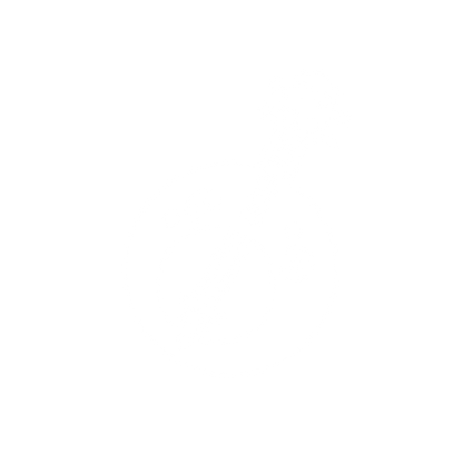 Banjo Logo Design #ffffff