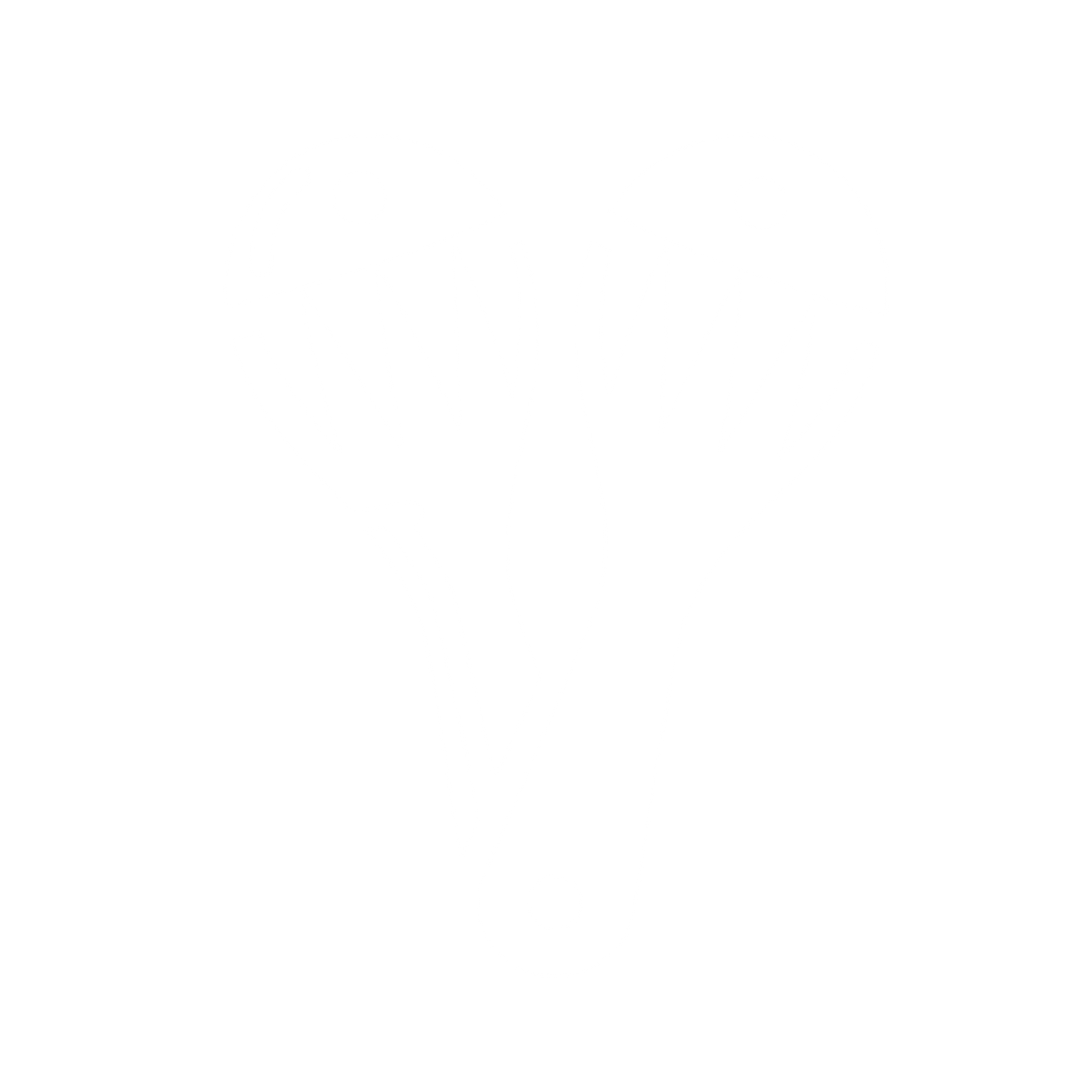 Maracas Logo Design #ffffff