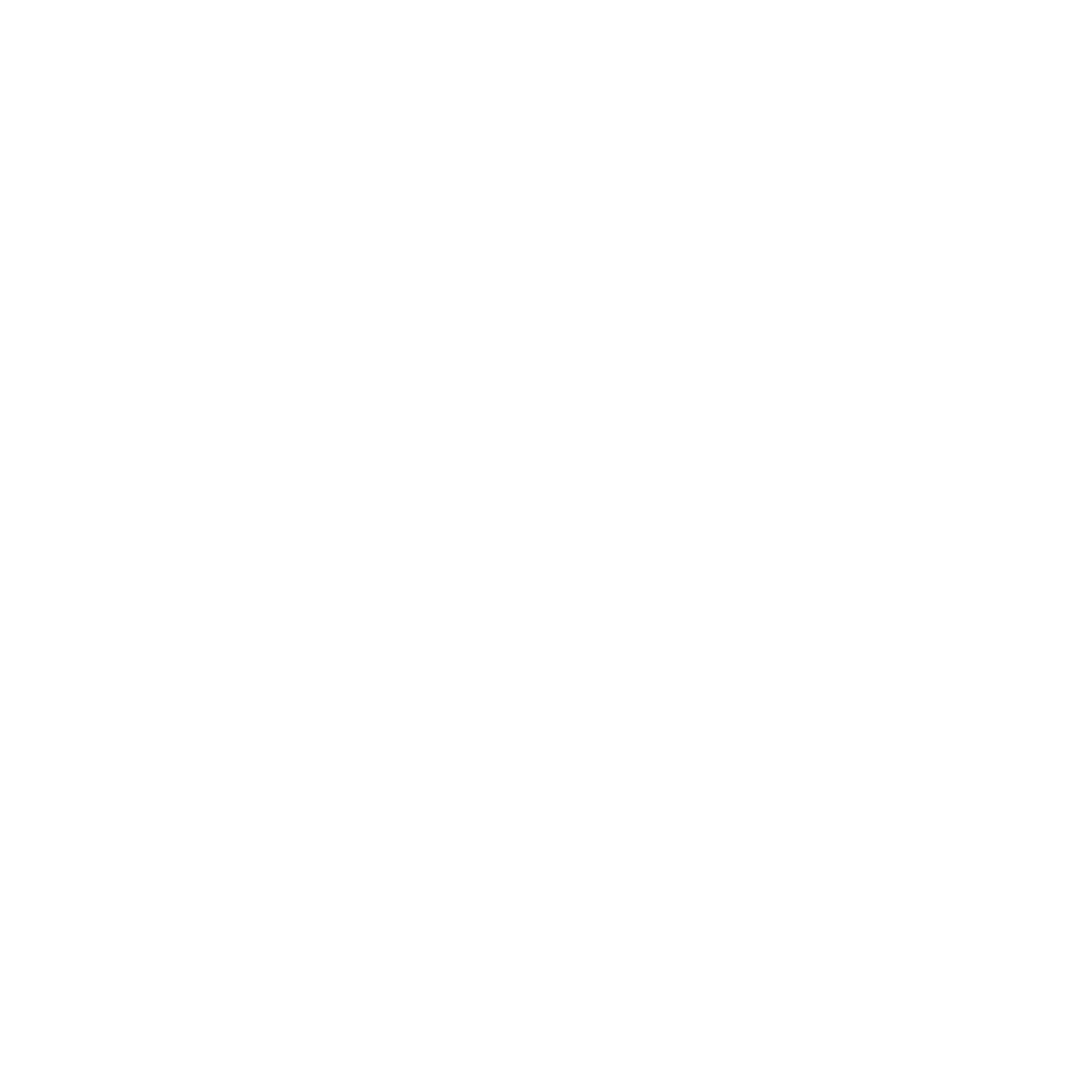 Maracas Logo Design #ffffff