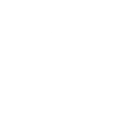 Maracas Logo Design #ffffff