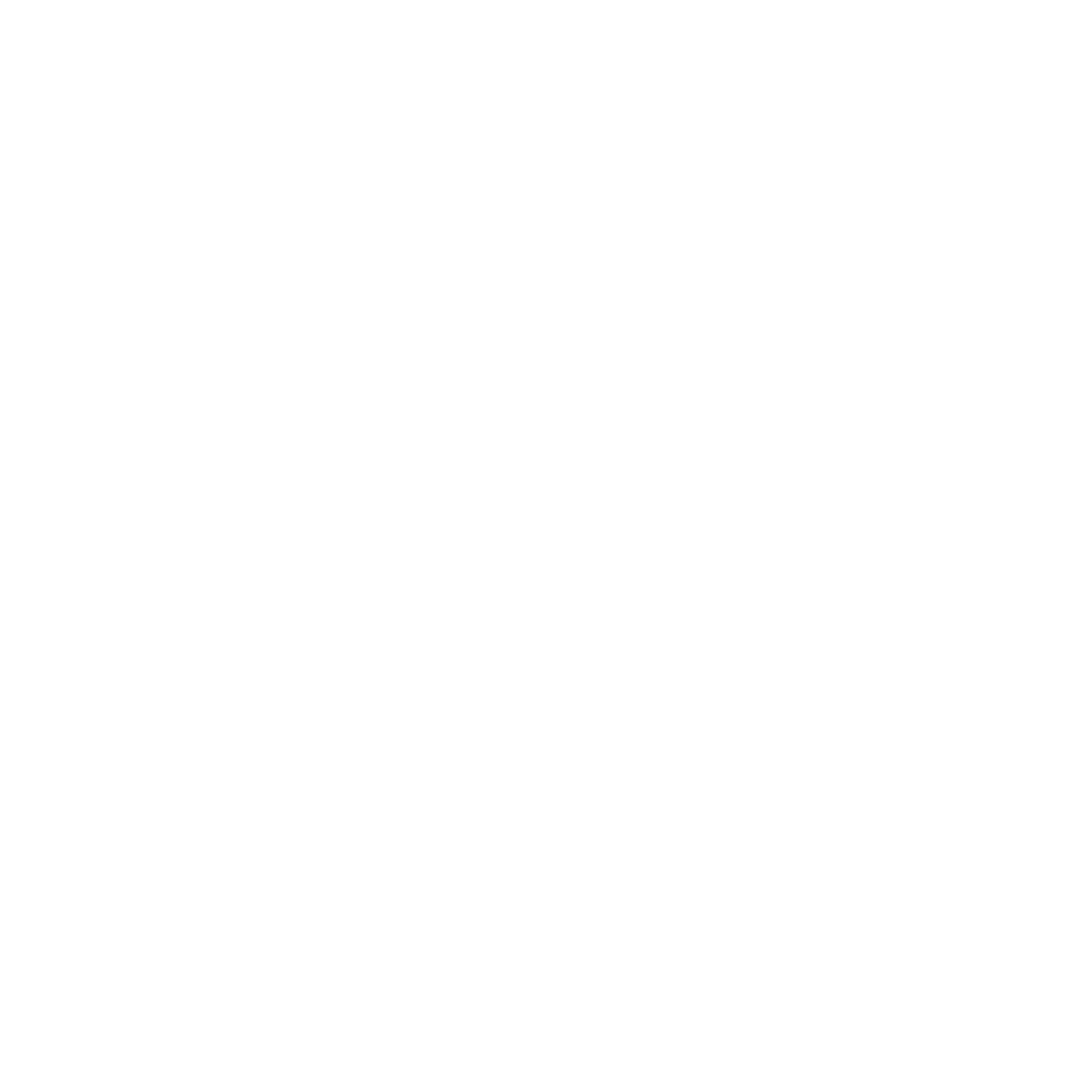 Maracas Logo Design #ffffff