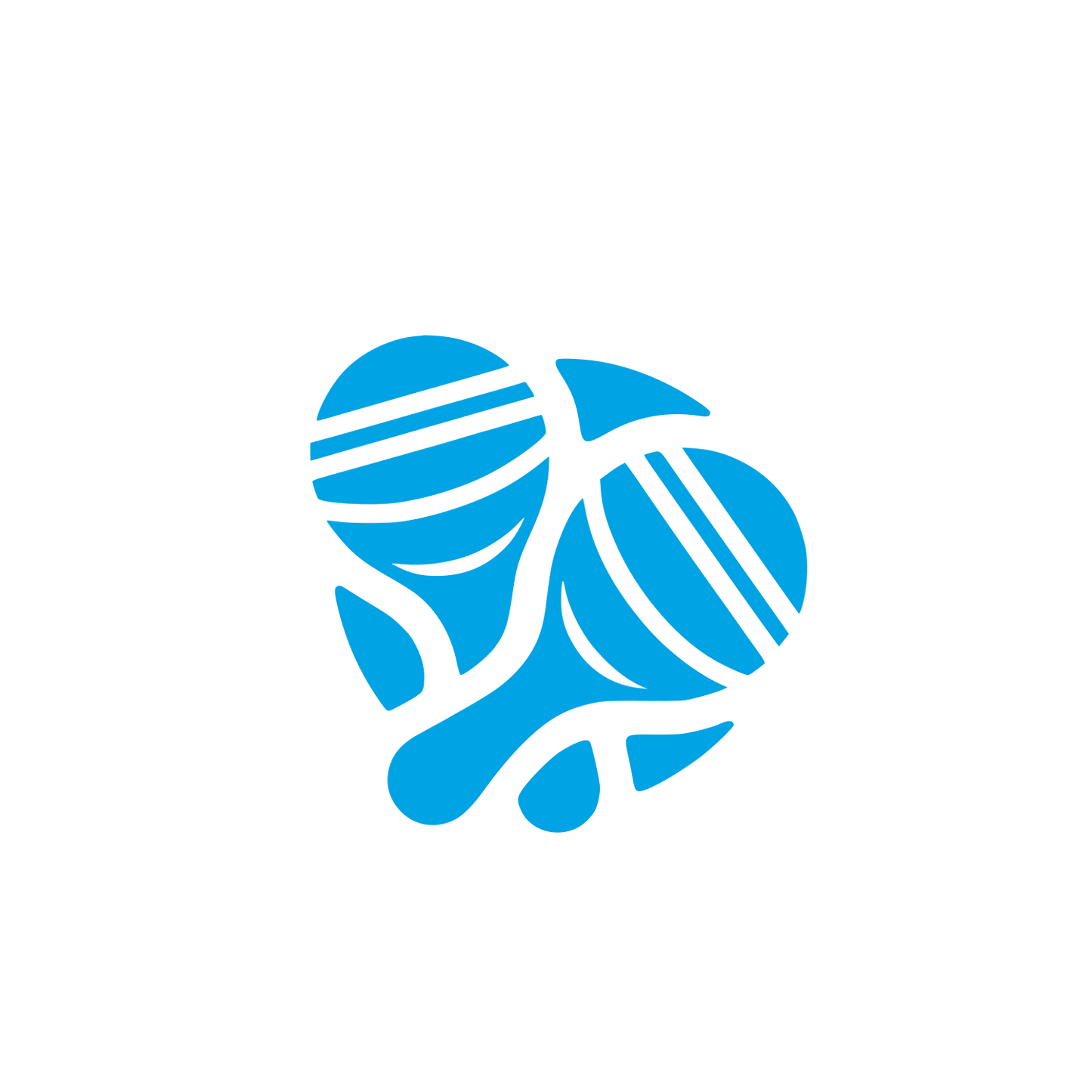 Castanets Music Logo #00a3e4