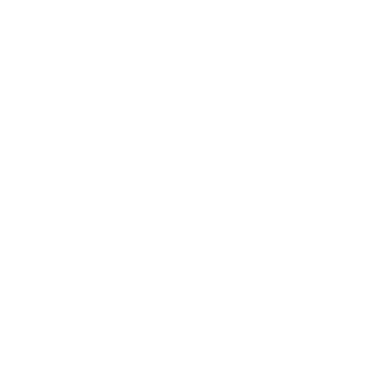 Space Logo #ffffff