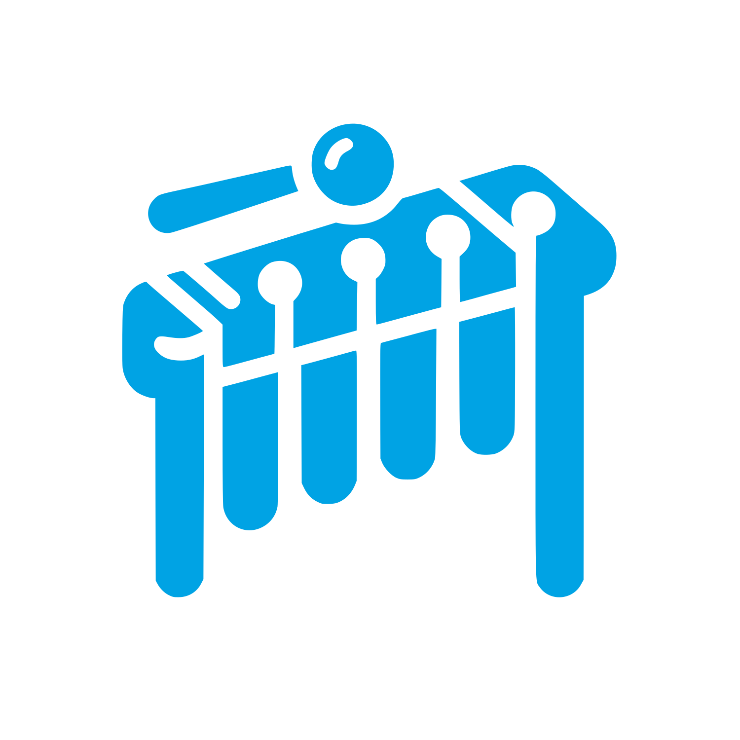 Xylophone Logo Design #00a3e4