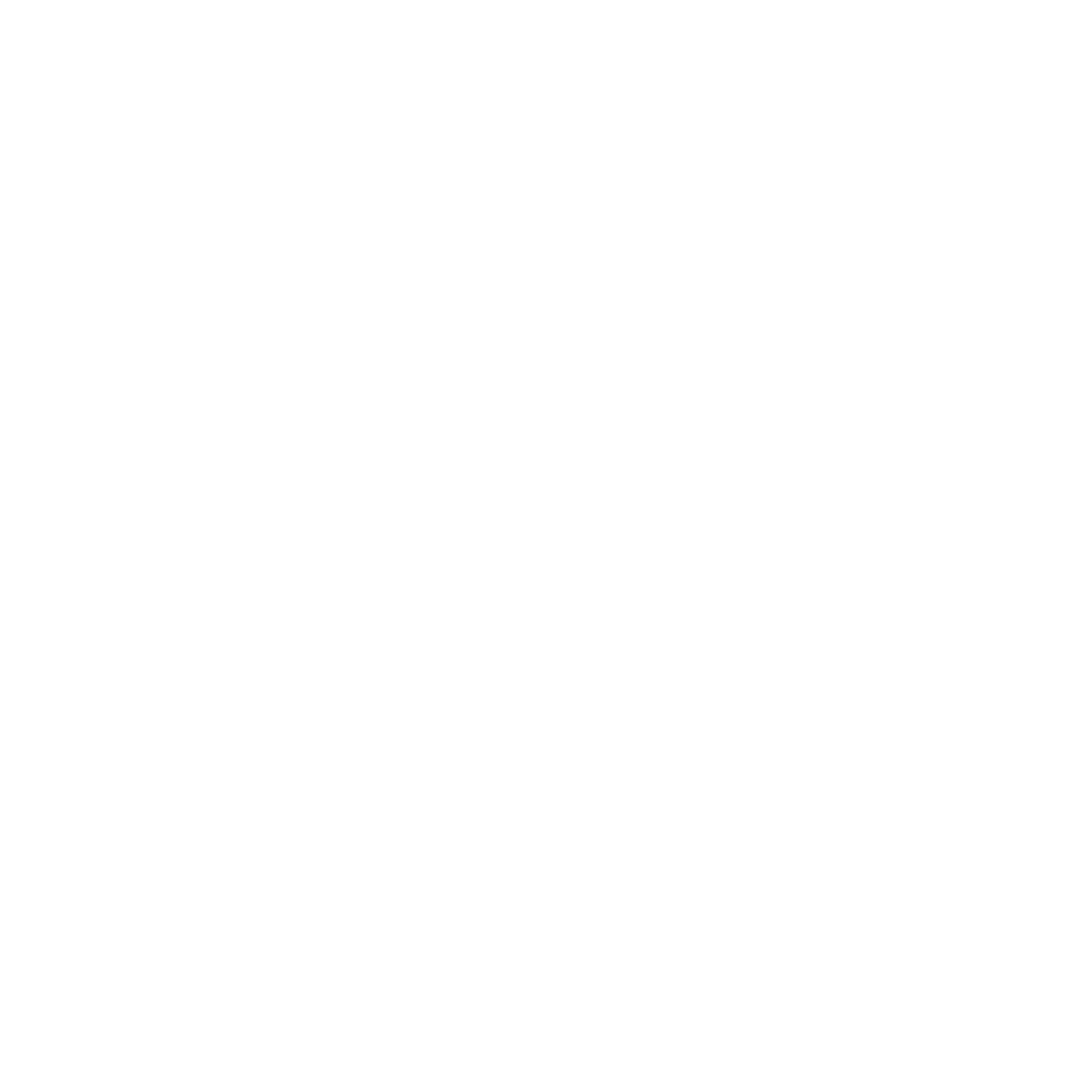 Brain Lungs Logo #ffffff