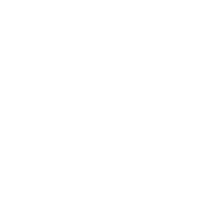 Brain Lungs Logo #ffffff
