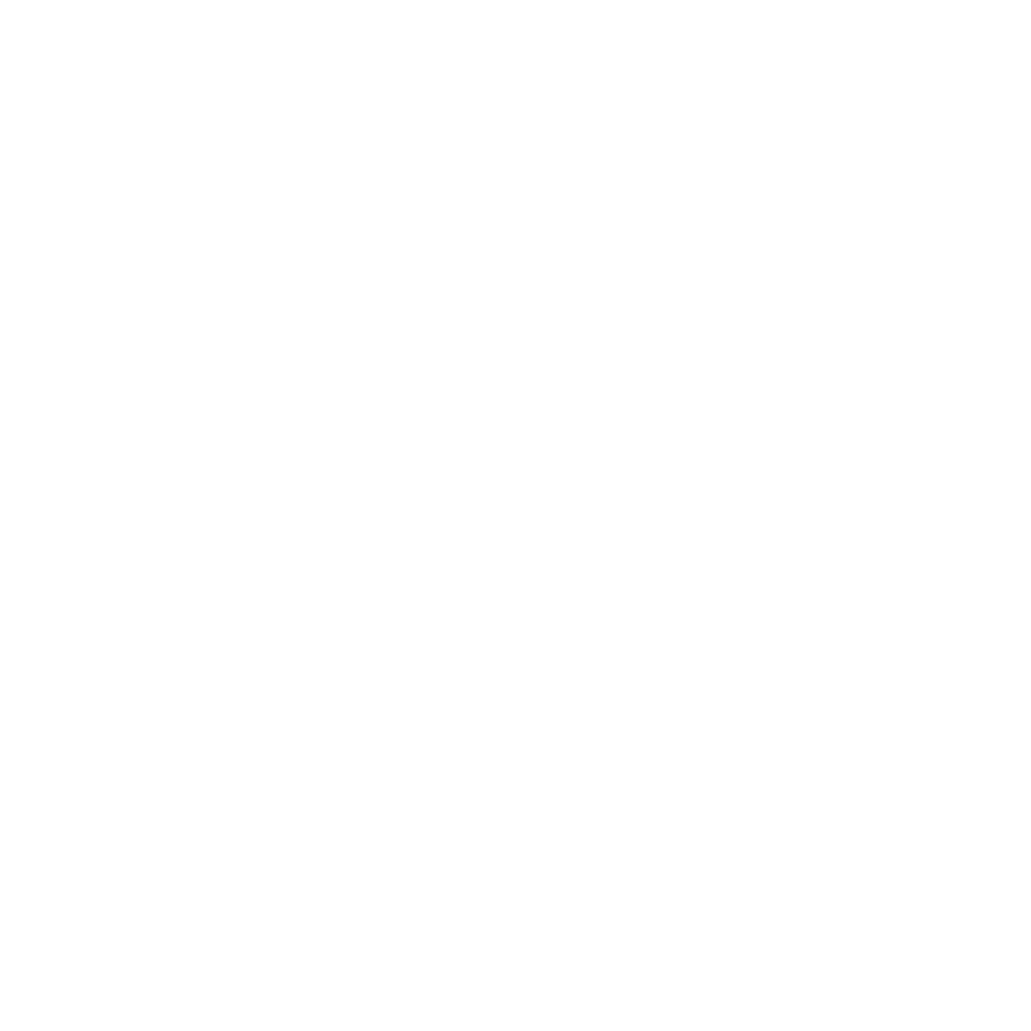 Recorder Hand-Drawn Logo #ffffff