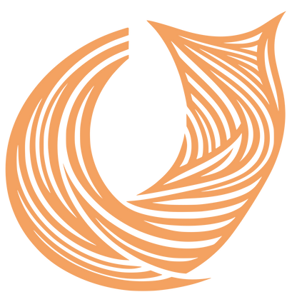 Swirl Logo #F4A261