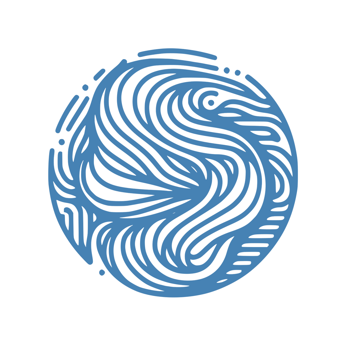 Circular Swirl Dynamics Logo #4682B4