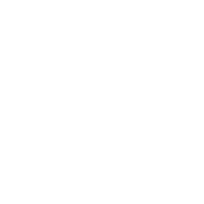 Logo of a Guitar #ffffff