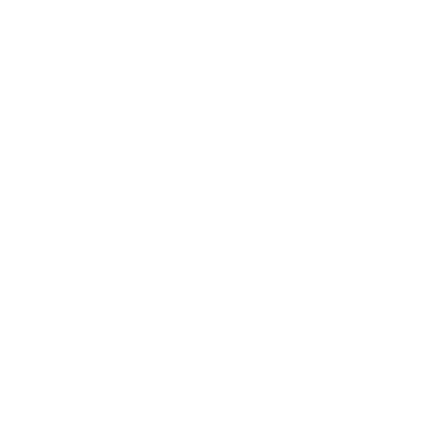 Geometric Cat Face Logo #ffffff