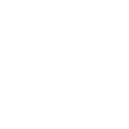 Geometric Cat Face Logo #ffffff