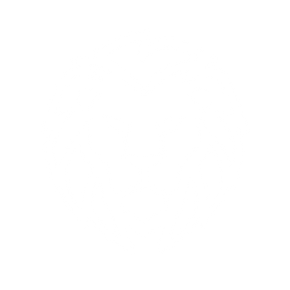 Bold Lion Head Logo #ffffff