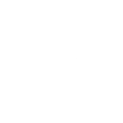 Bear Face Logo #ffffff
