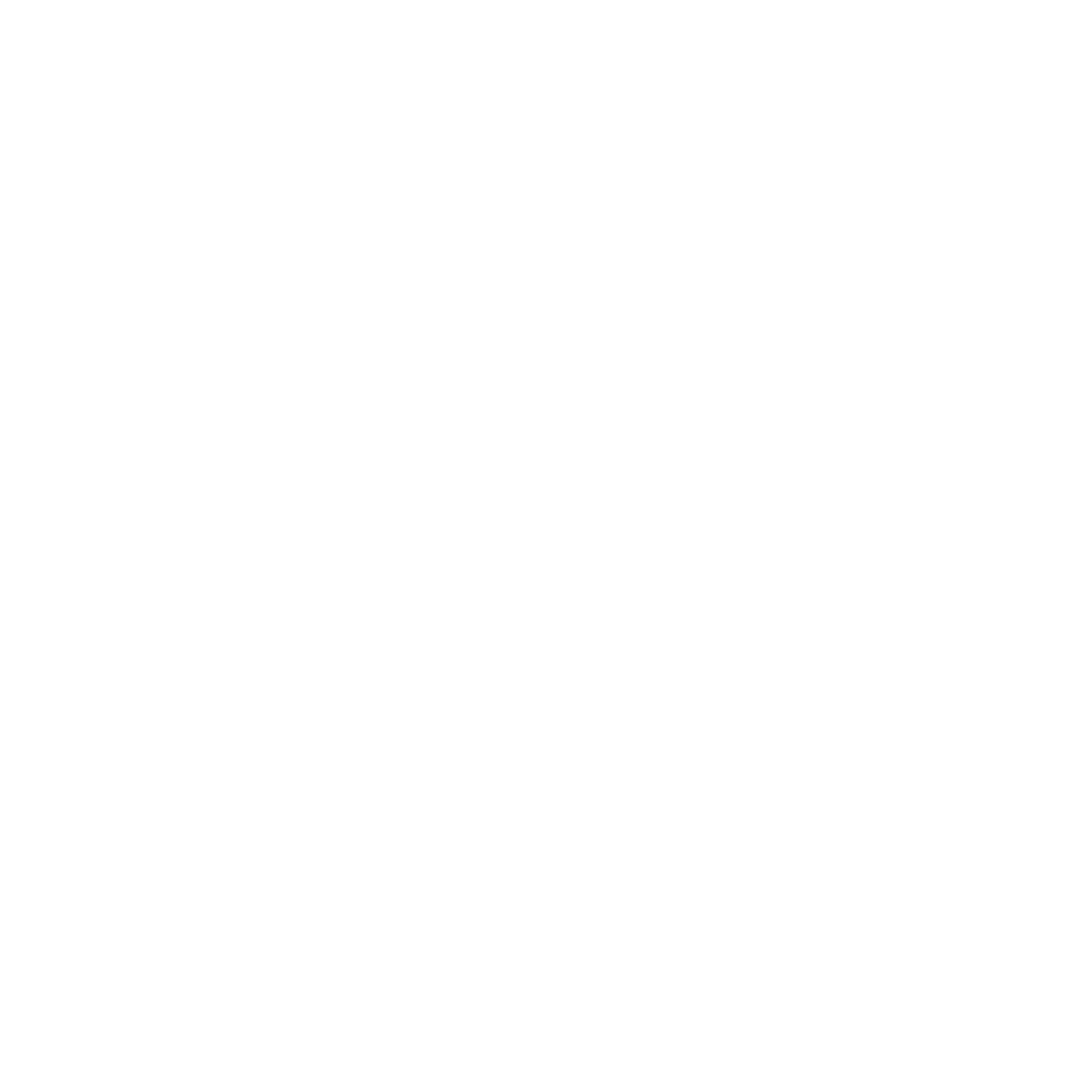 Geometric Bear Face Logo #ffffff