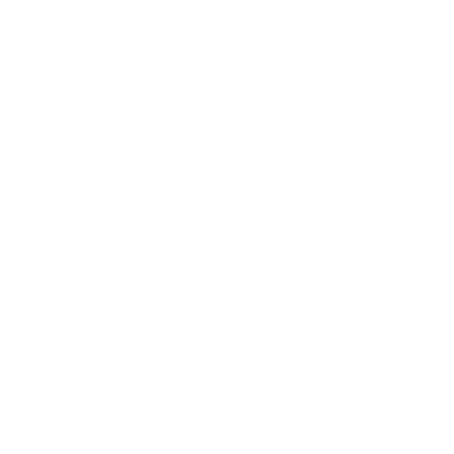 Geometric Bear Face Logo #ffffff