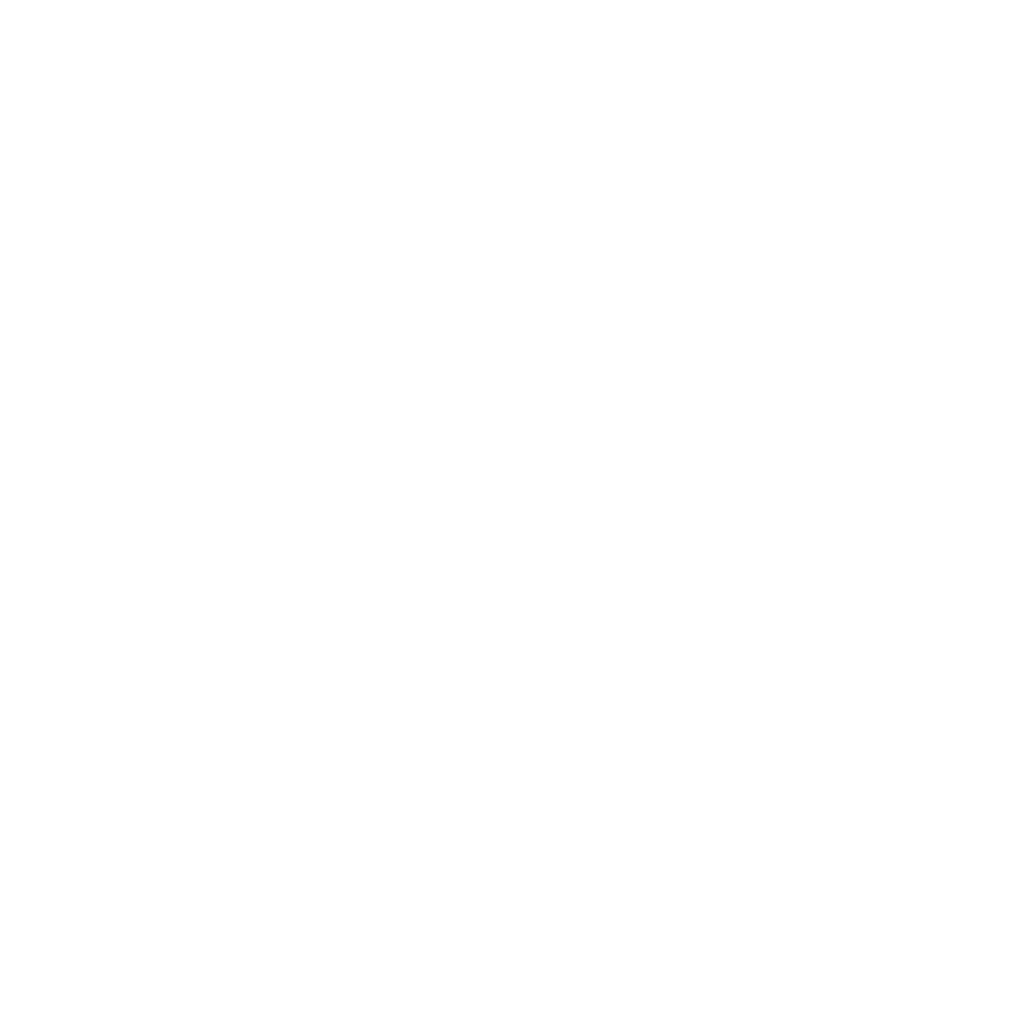 Geometric Bear Logo #ffffff