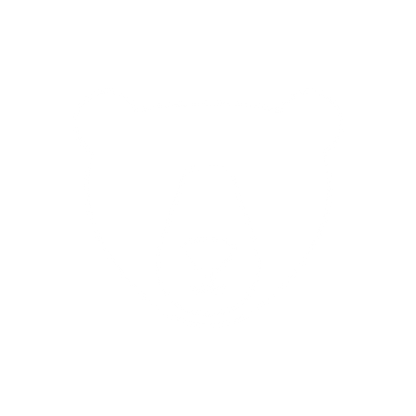Bear Face Flat Logo #ffffff