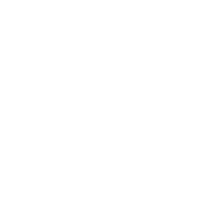 Geometric Wolf Head Logo #ffffff