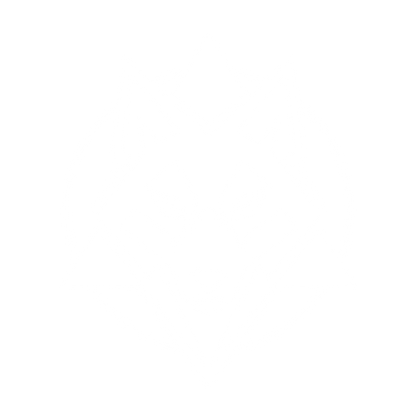 Geometric Wolf Head Logo #ffffff