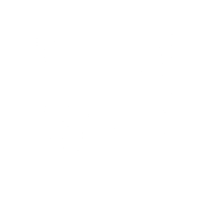 Geometric Fox Face Logo #ffffff