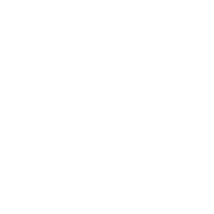 Geometric Fox Head Logo #ffffff