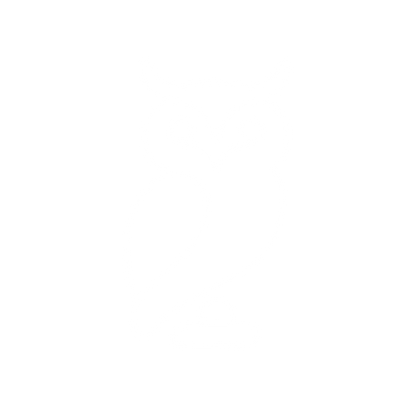 Line Art Owl Logo #ffffff