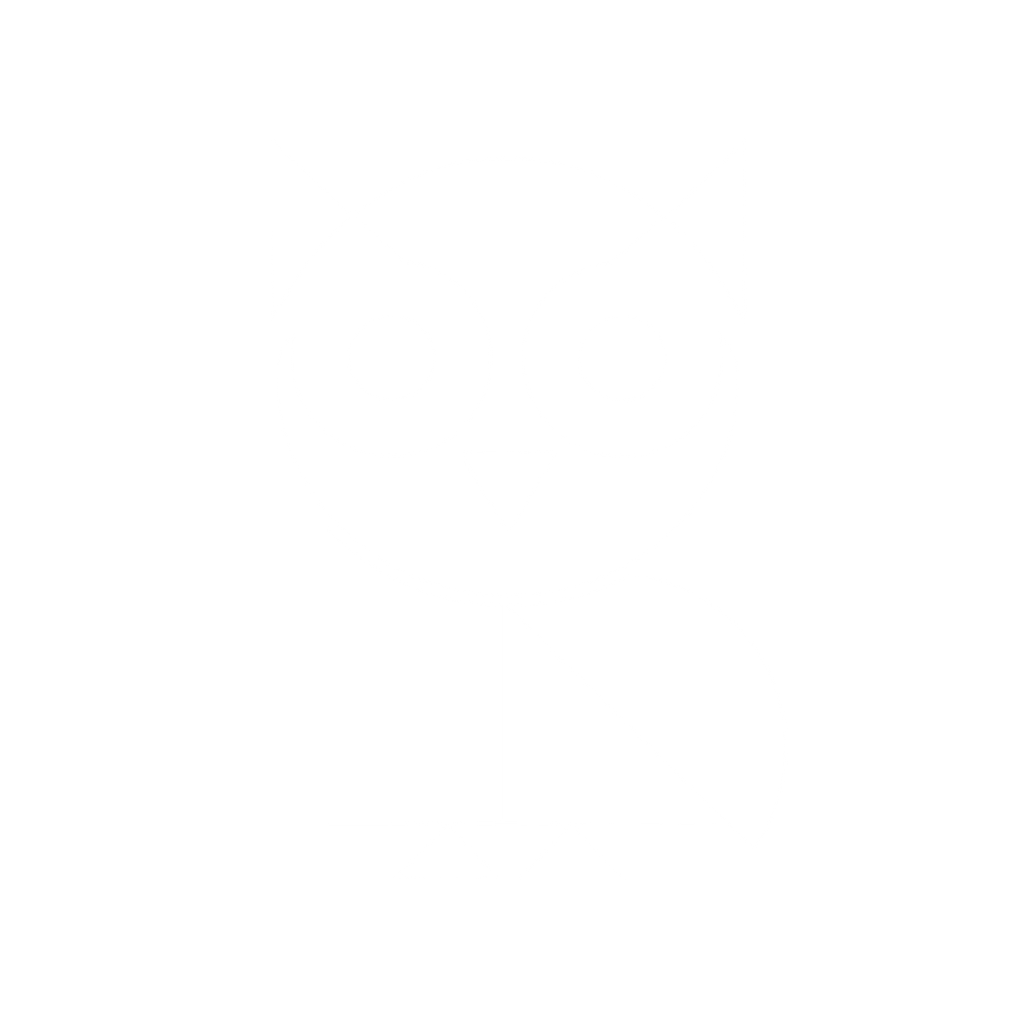 Geometric Owl Logo #ffffff