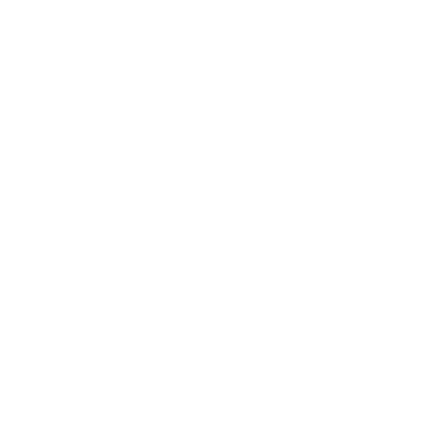 Geometric Pixel Owl Logo #ffffff