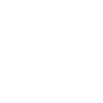 Minimalist Owl Logo #ffffff