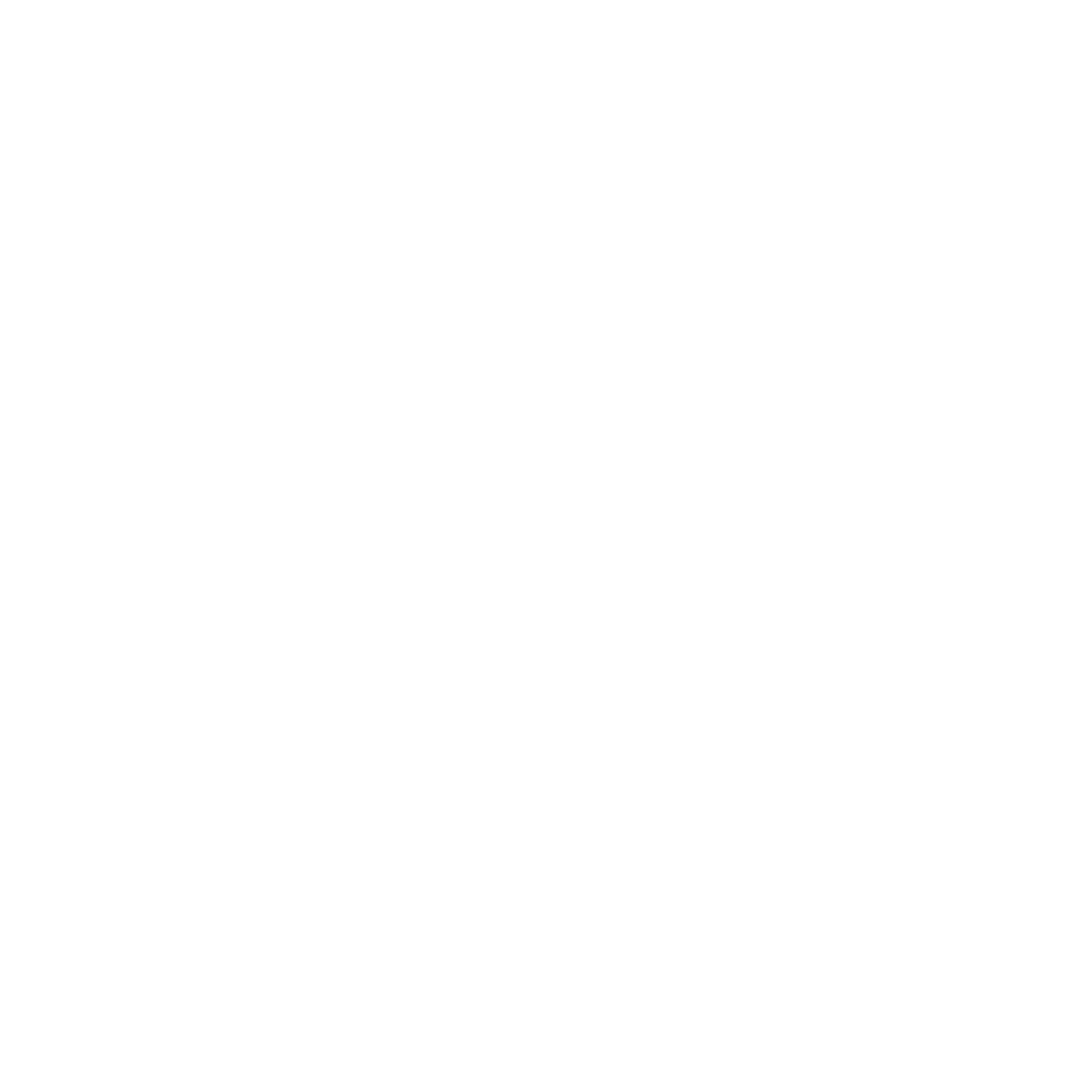 Bold Owl Face Logo #ffffff