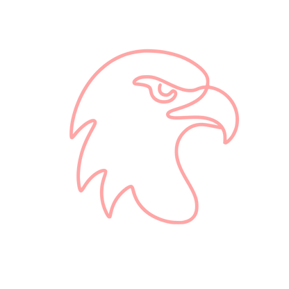 Eagle Head Outline Logo #ffa6a6